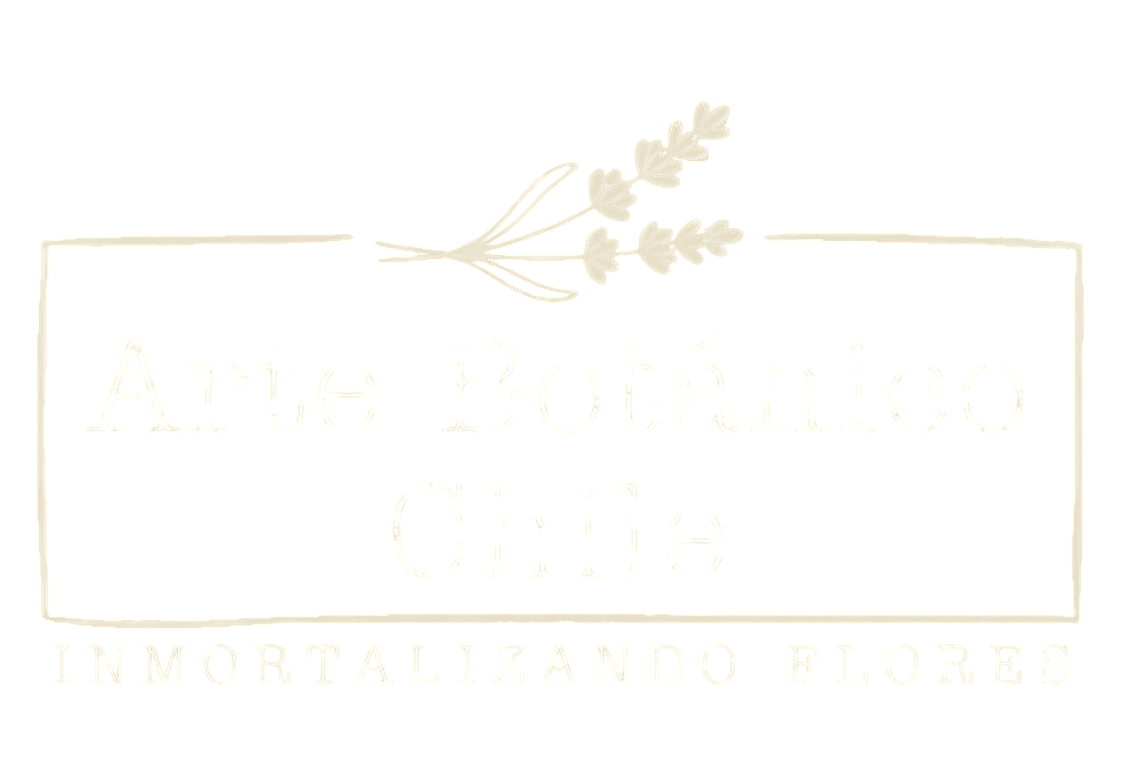 Arte Botánico Chile — Inmortalizando flores