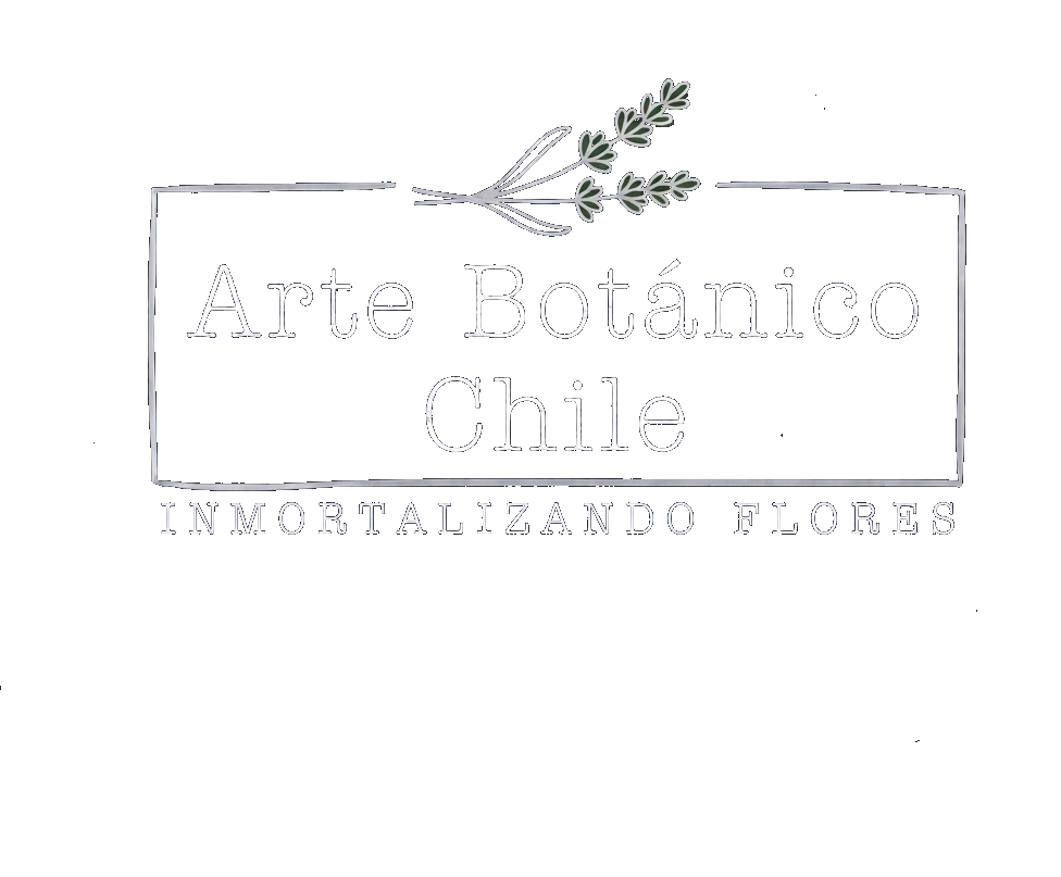 Arte Botánico